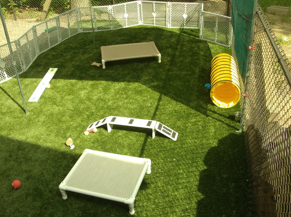 Synthetic Turf for Pet Parks Southwest Greens